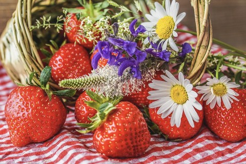 La fragola, il falso frutto della primavera