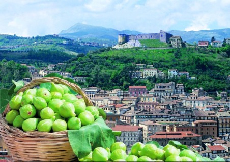 I fichi del cosentino, il frutto zuccherino dell'estate