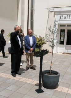 L'albero del ricordo, un'iniziativa itinerante per rendere omaggio alle vittime del Covid