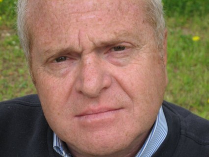 Intervista a Francesco Pellegrini, presidente della Fondazione Attilio e Elena Giuliani